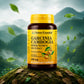 Garcinia Cambogia 300 mg, 90 Capsules